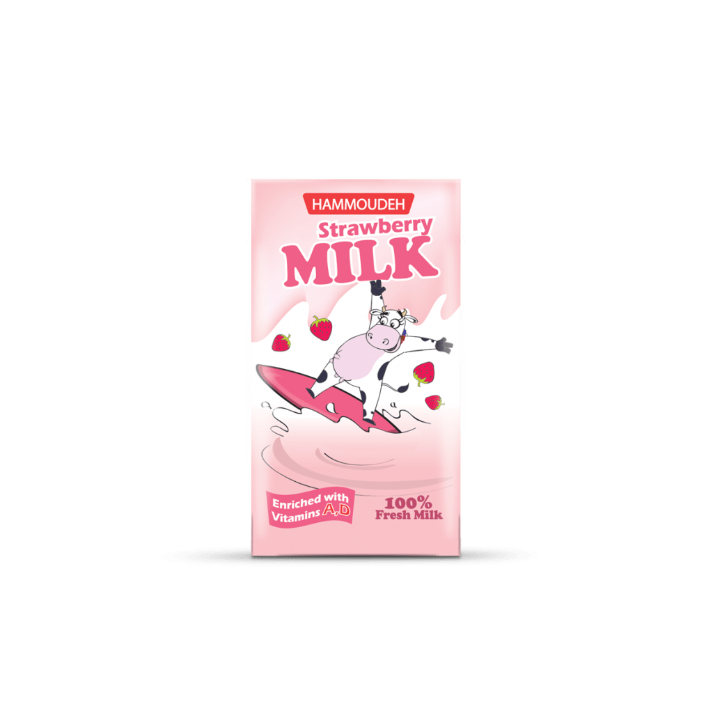 strawberry-flavoured-milk-24x125ml-hammoudeh